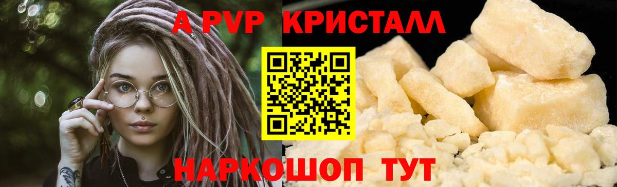 A PVP СК КРИС Великий Новгород