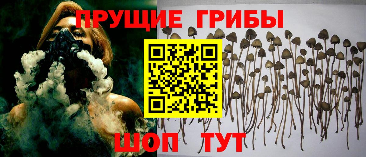 Псилоцибиновые грибы GOLDEN TEACHER  Галлюциногенные грибы Magic Shrooms  Великий Новгород  Вход с VPN 