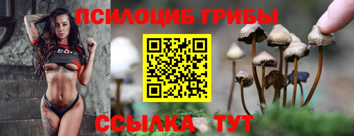 ТГК Великий Новгород